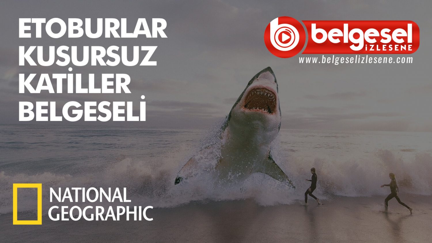 Etoburlar Gezegeni Kusursuz Katiller Belgeseli Turkce Dublaj Belgesel Izlesene