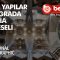 Mega Yapılar La Sagrada Familia Belgeseli – Türkçe Dublaj