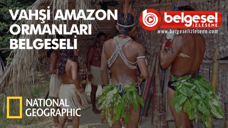 vahsi-amazon