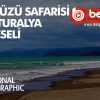 gokyuzu-safarisi-av