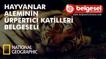 hayvanlar-aleminin-urkunc-katilleri-belgeseli-belselizlesene