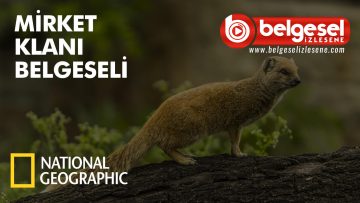 mirket-klani-belgeseli-belselizlesene