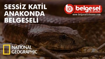 sessiz-katil-anaconda-belgeseli-belselizlesene