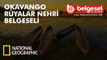 okavango-nehri-belgelse-izlesene