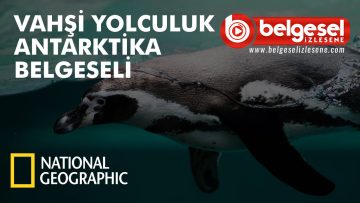 vahsi-yolculuk-antarika-belgelse-izlesene